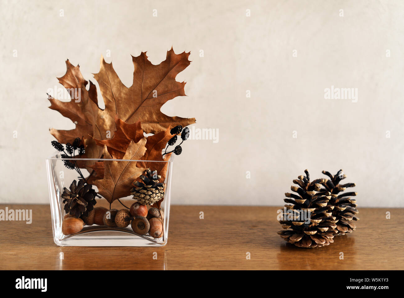 Still life with autumnal home decor of golden and brown dry leaves, cones and acorns in modern glass vase and two cones on wooden table, copy space Stock Photo