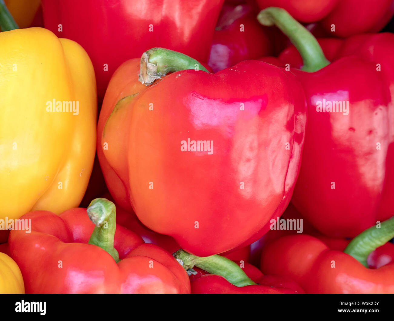 Red and Yellow Peppers on a market stall Stock Photo - Alamy