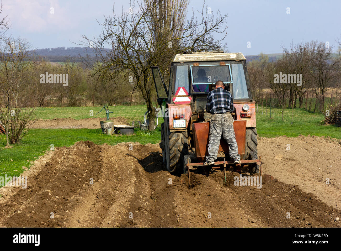 Two men sowing young potatoes with the help of a tractor in rural Slovakia. Stock Photo