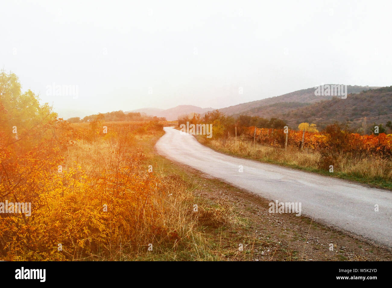 The road goes into the distance. Autumn road through vineyards and villages. Crimea. Koktebel. Stock Photo