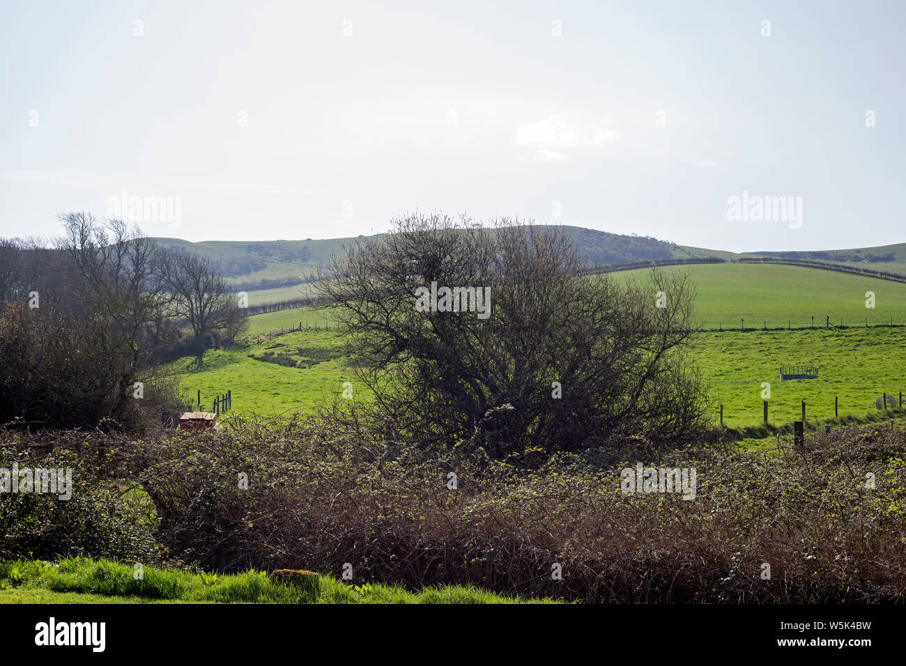 Beautiful green rural landscape at Dorset, England Stock Photo - Alamy