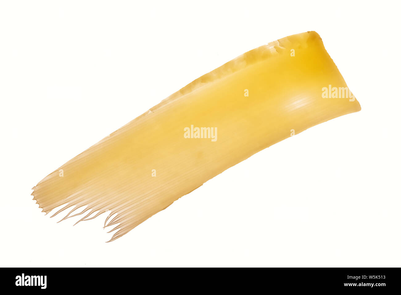 Transparent Thin Slice Of Cheese On A White Background Stock Photo