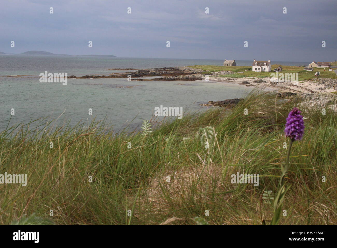 East Kilbride, South Uist, Outer Hebrides, looking towards Barra, with dark clouds and with machair in the foreground including an orchid Stock Photo