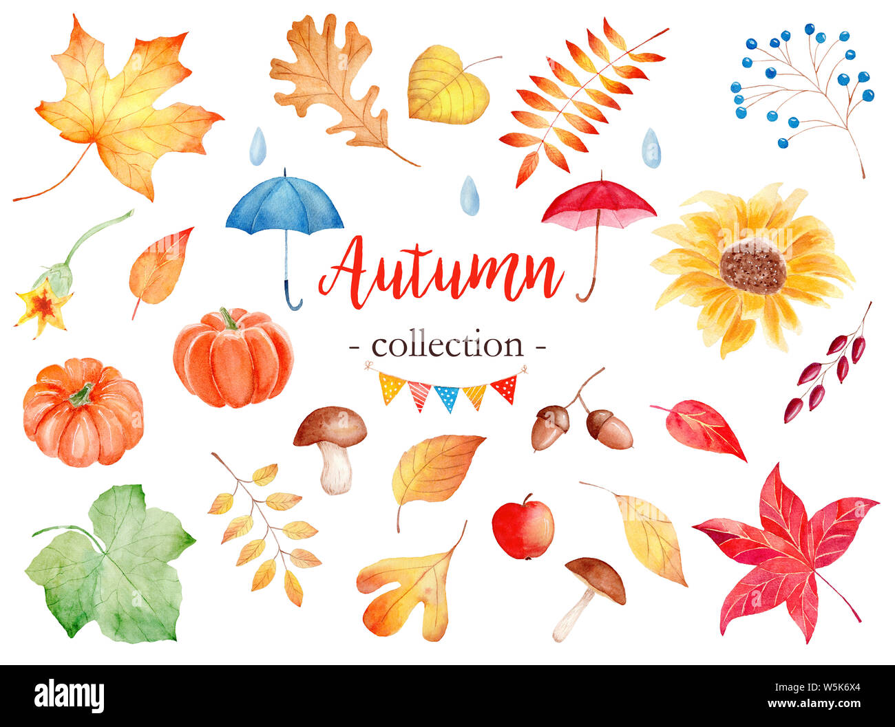 Decorative autumn season attributes watercolor raster illustrations set. Maple, poplar and rowan leaves. Forest foliage and natural food pack. Pumpkin Stock Photo