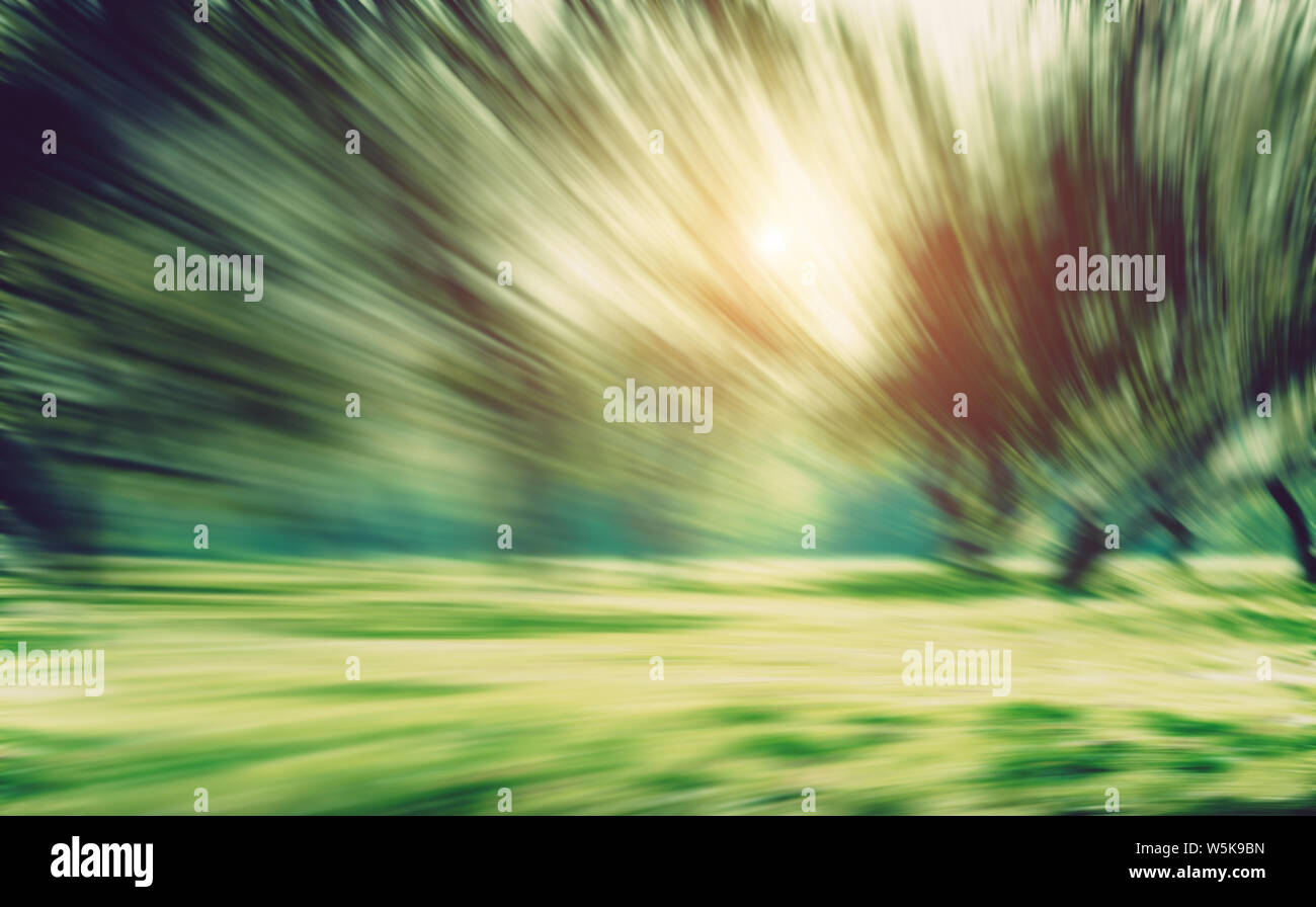 Summer park long exposure motion blur Stock Photo