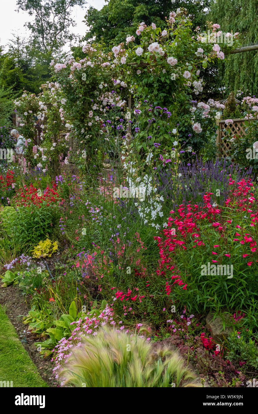 An English garden in summer. A close up on a border of herbaceous perennials in full bloom. Stock Photo