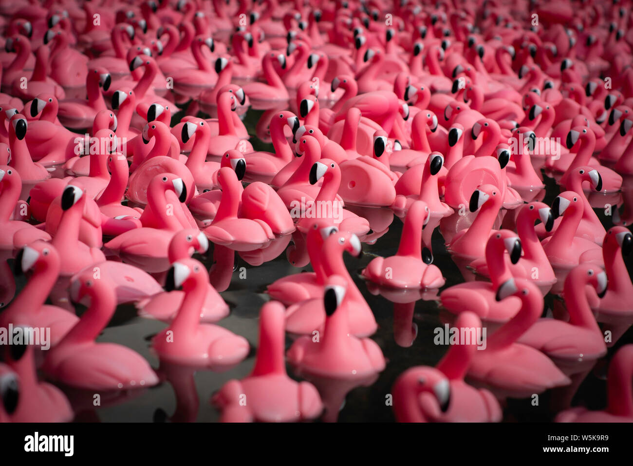 Pink plastic flamingos background texture Stock Photo