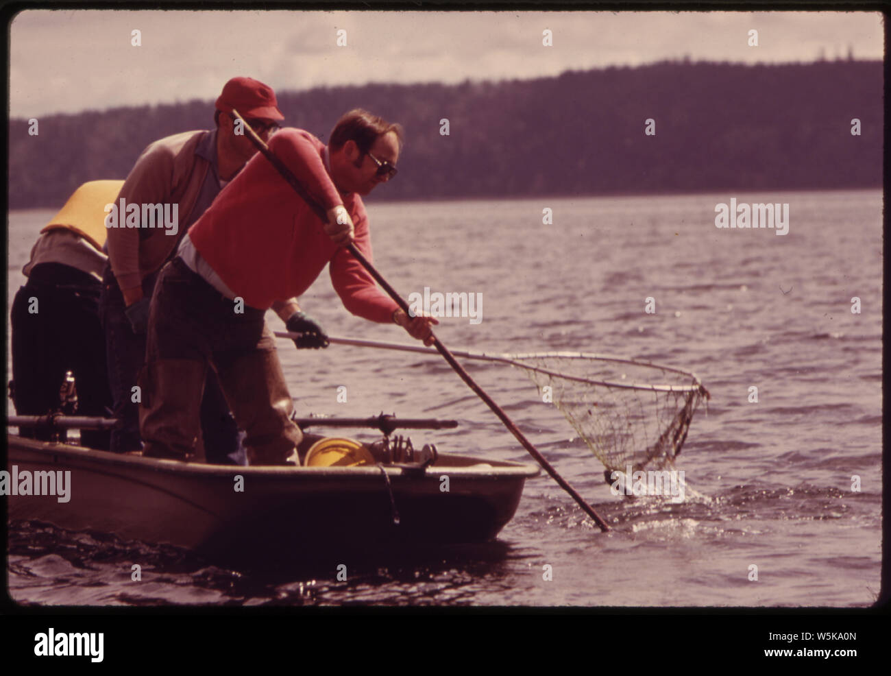 CRAB NETTING AT BRINNON TIDE FLAT ON THE HOOD CANAL BRINGS OUT LARGE