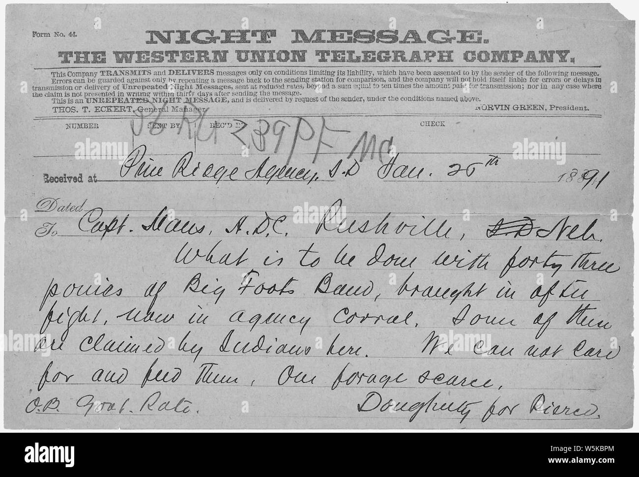 Care of Captured Indian Ponies; Scope and content:  This is document pertains to: Correspondence Between Military Officers Regarding Wounded Knee Tragedy. November 24, 1890 to January 24, 1891. Stock Photo