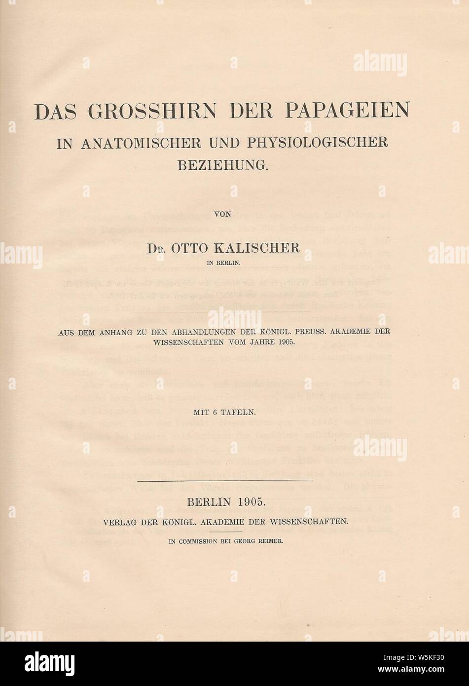 Das Grosshirn der Papageien in anatomischer und physiologischer Beziehung (1905). Stock Photo