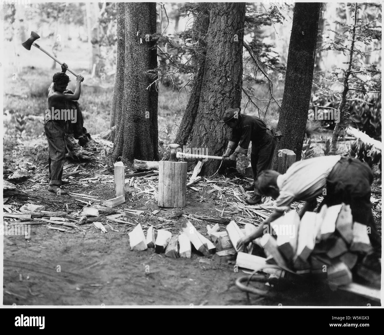 Civilian Conservation Corps in California, March Field District Stock