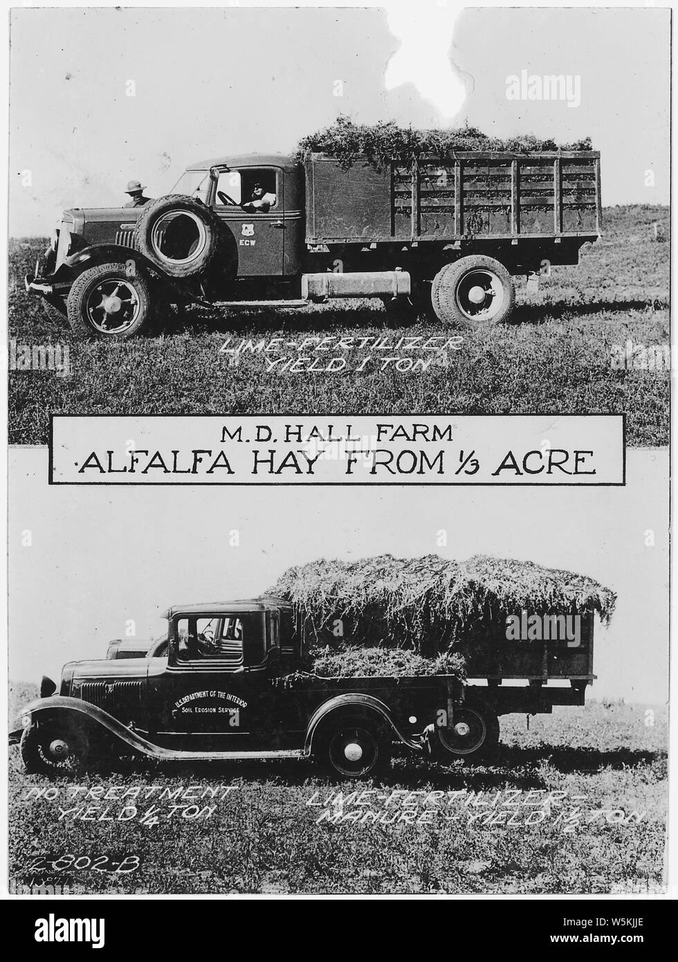 Comparison of amount of alfalfa hay grown with different types of