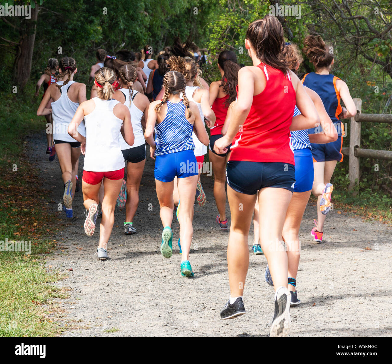 real highschool candid girls High school girls cross country race taken from behind running down a dirt  path covered by trees Stock Photo - Alamy