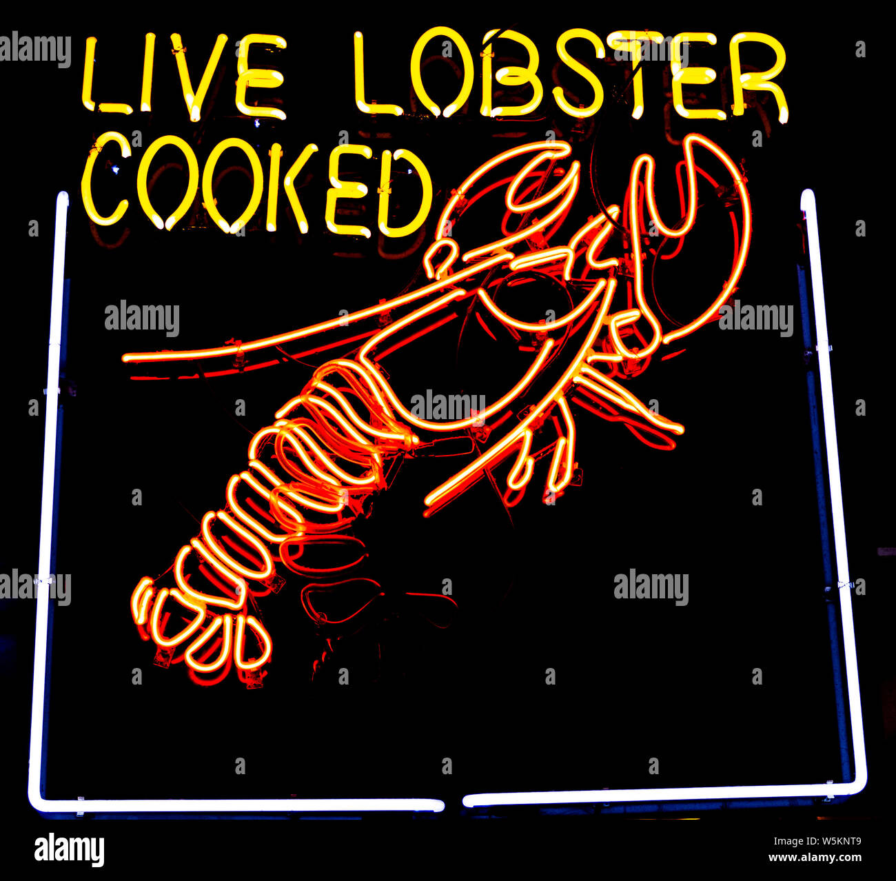 A very bright orange and yellow neon sign with a picture of a lobster that reads live lovster cooked. Stock Photo