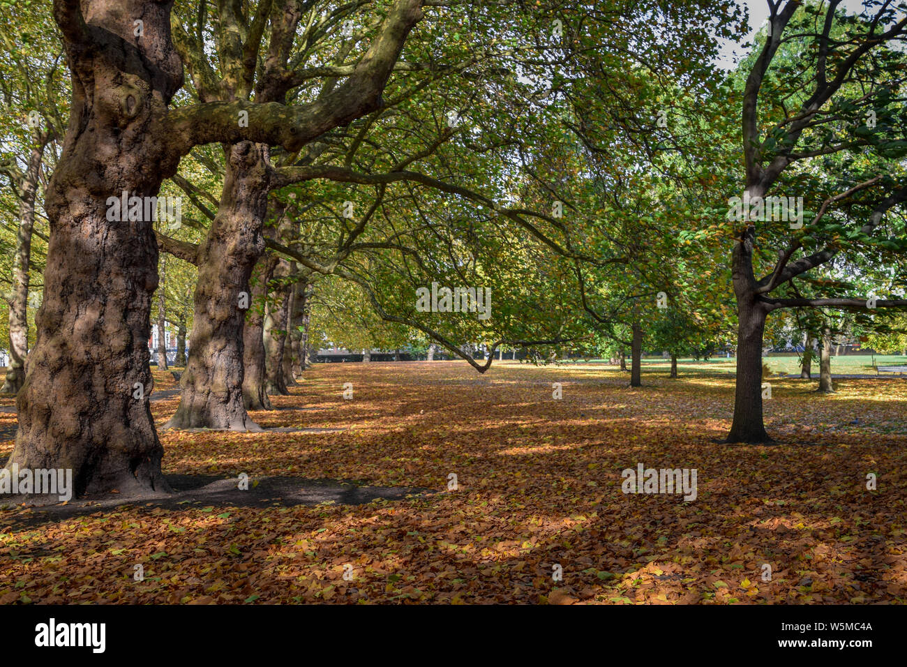 Family fun london park summer hi-res stock photography and images - Alamy