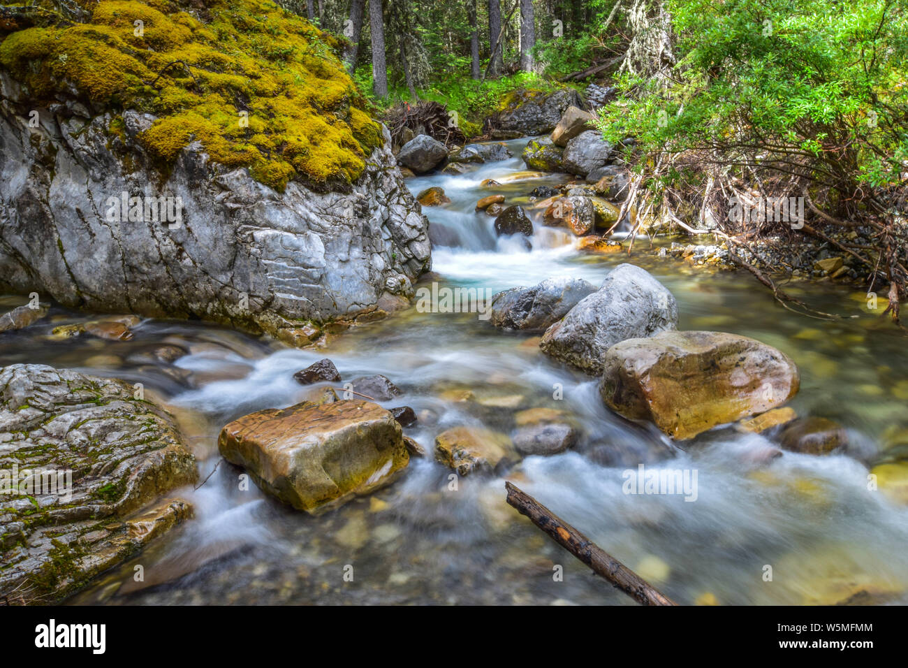 Ribbon Creek in Kananaski Stock Photo Alamy