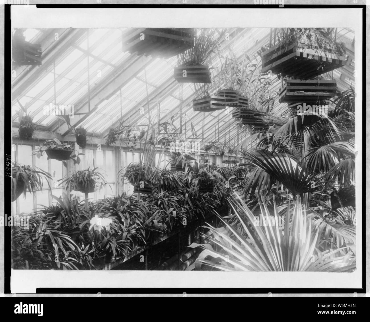 White house conservatory hi-res stock photography and images - Alamy