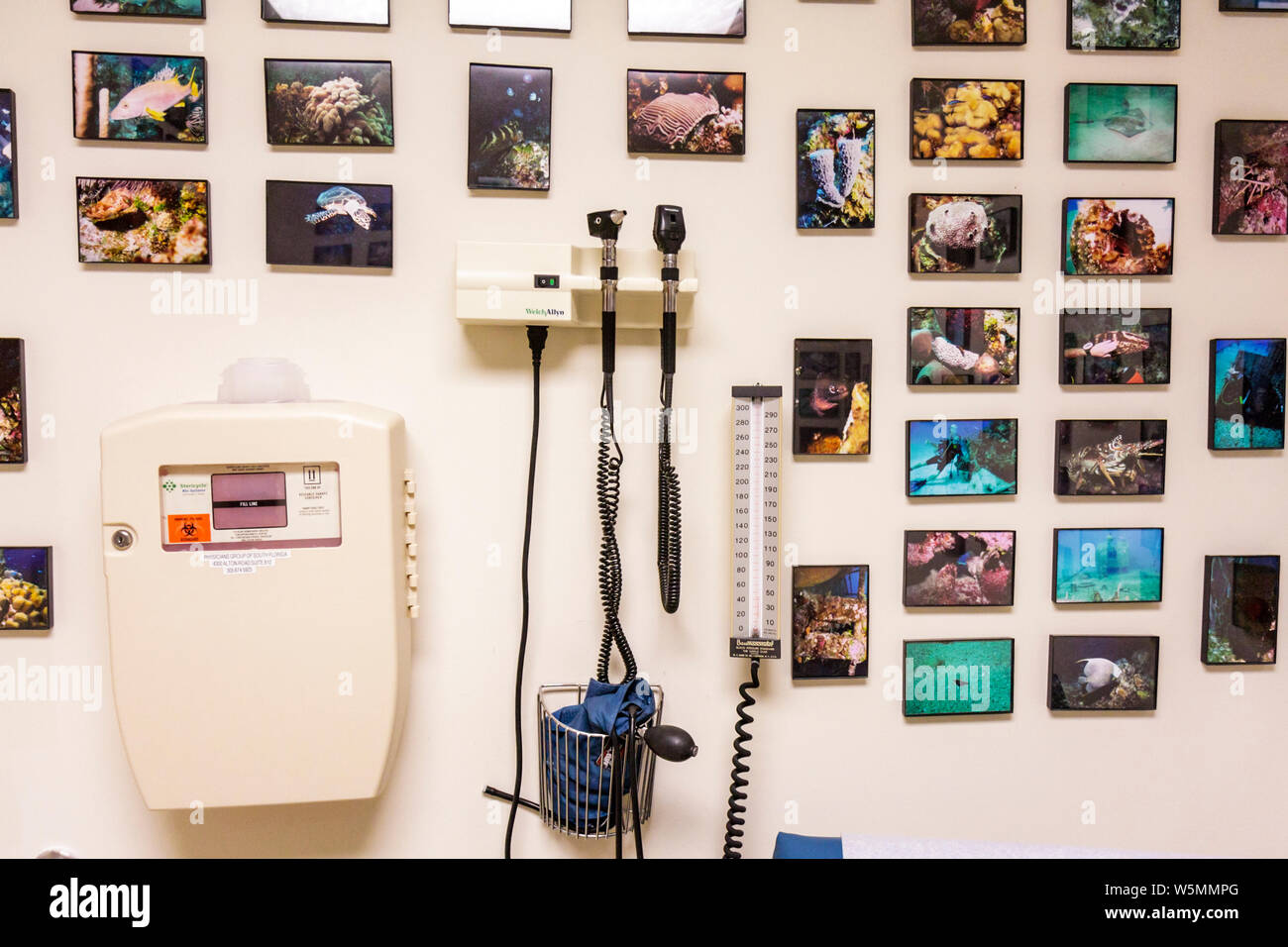 Miami Beach Florida,Mt. Mount Sinai Medical Center,hospital,healthcare