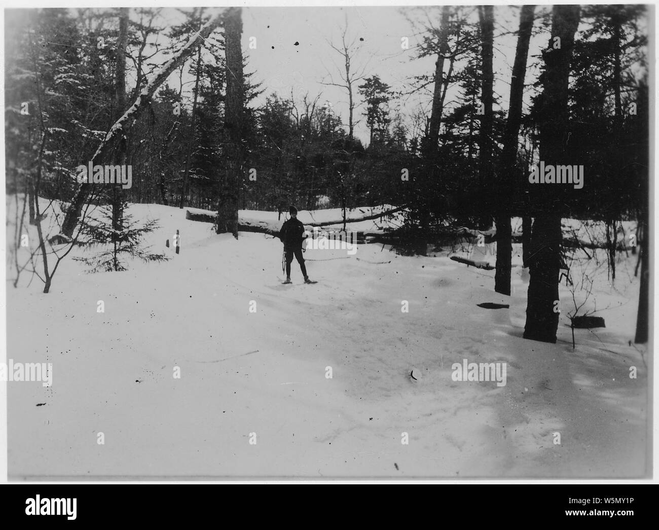 Franklin D. Roosevelt at Loon Lake, New York Stock Photo Alamy