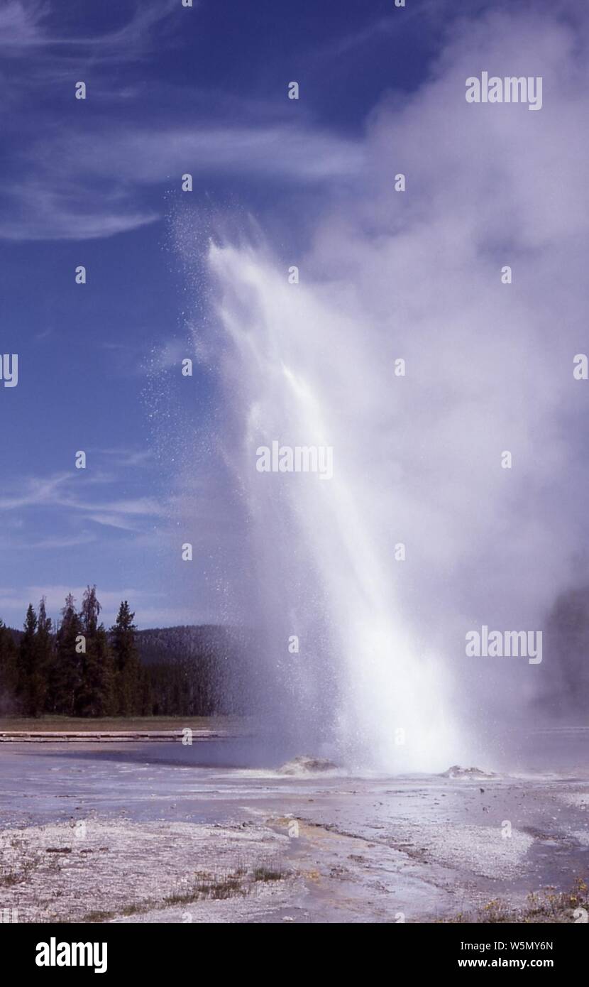 Daisy geyser erupting Stock Photo Alamy