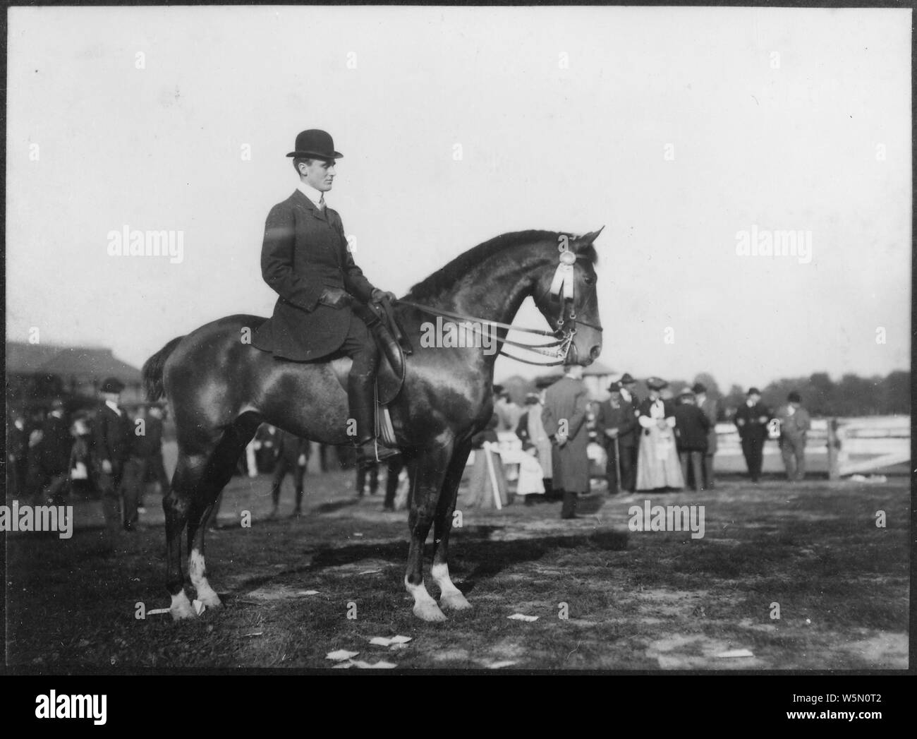 Rhinebeck new york horse hires stock photography and images Alamy