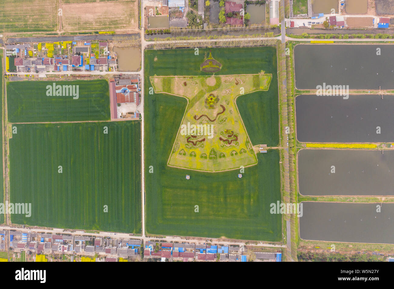 Aerial view of a huge painting of Longpao or Dragon robe (ancient imperial court robe) in a rapeseed field in the suburb of Nanjing city, east China's Stock Photo