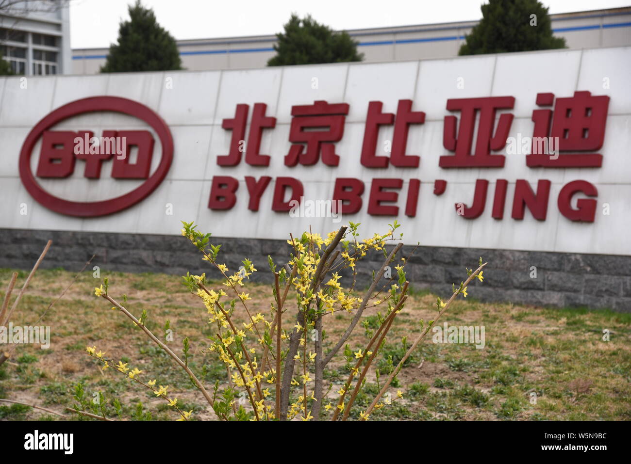 View of a plant of Chinese new energy vehicle (NEV) maker BYD in Tongzhou district, Beijing, China, 7 April 2019.   Leading Chinese new energy vehicle Stock Photo