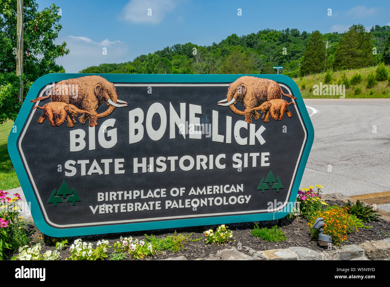 bone lick park new york