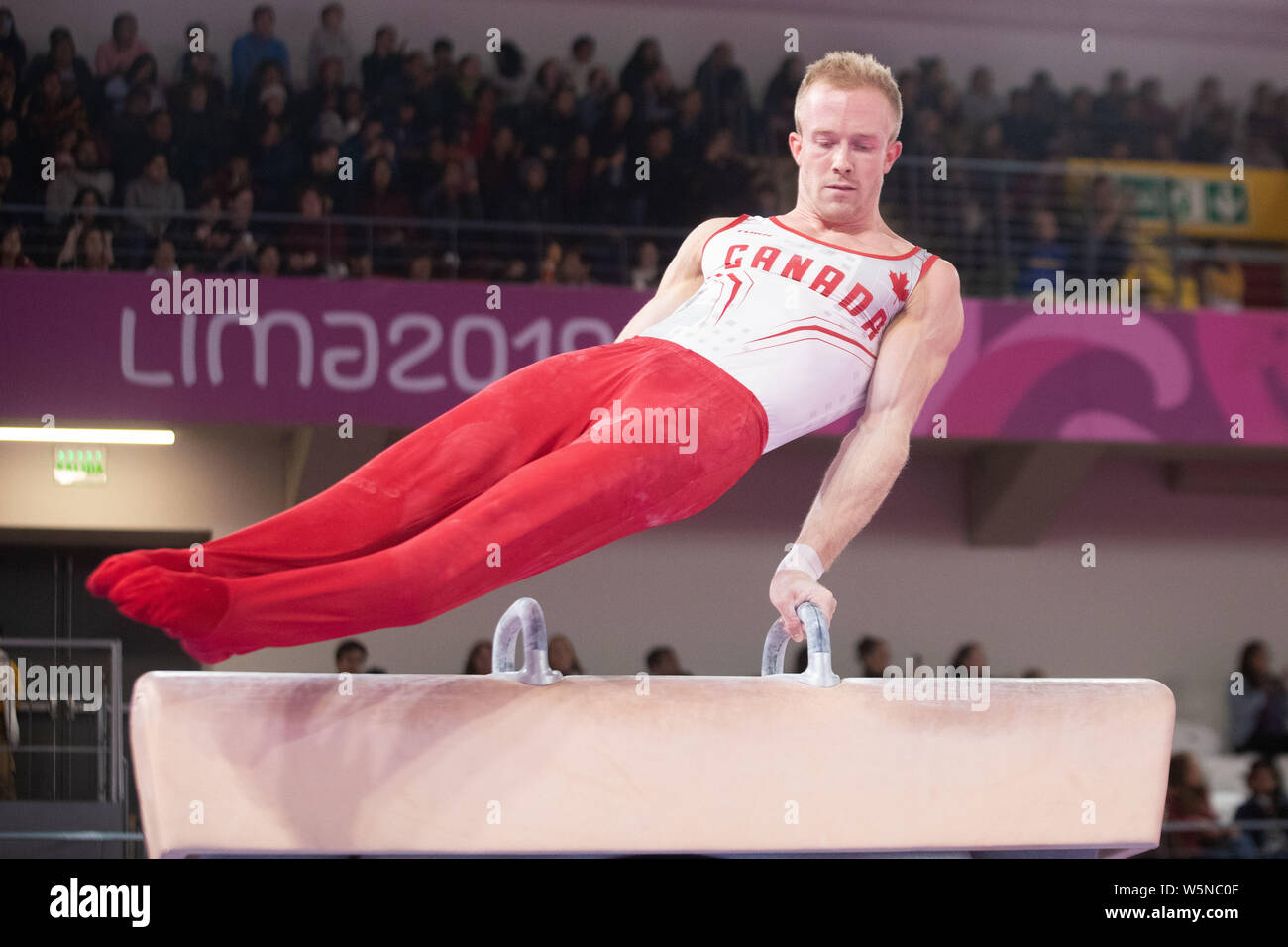 Lima, Peru. 28th July, 2019. Cory Paterson (#85) of Canada performs on pommel horse during the Pan American Games Artistic Gymnastics, Men's Team Qualification and Final at Polideportivo Villa el Salvador in Lima, Peru. Daniel Lea/CSM/Alamy Live News Stock Photo