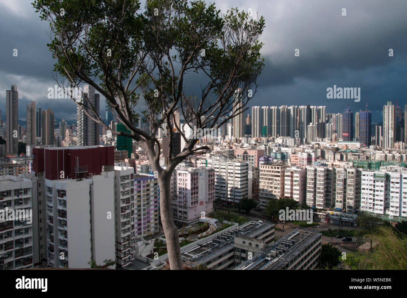 Skyscraper skyline of Sham Shui Po district, Kowloon, Hong Kong, China Stock Photo