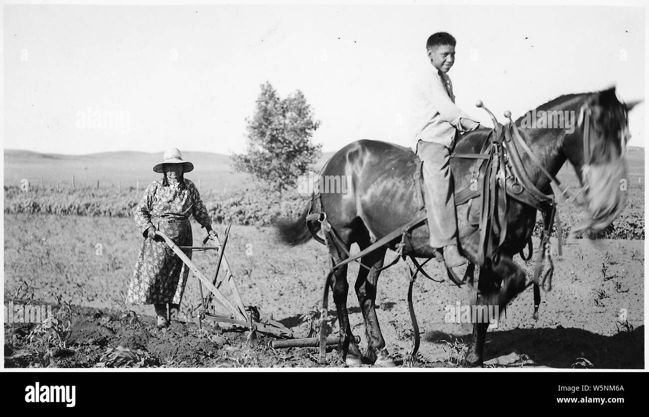 Horse pulling plow; Scope and content A young man is riding the horse