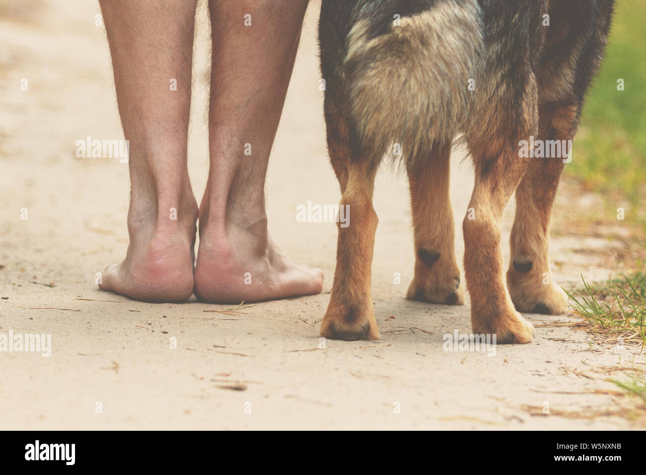 Man walking barefoot with the dog on a dirt road in summer Stock Photo