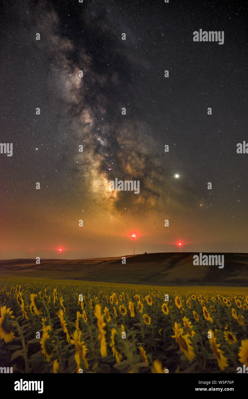 Milky way over the sunflower field Stock Photo - Alamy