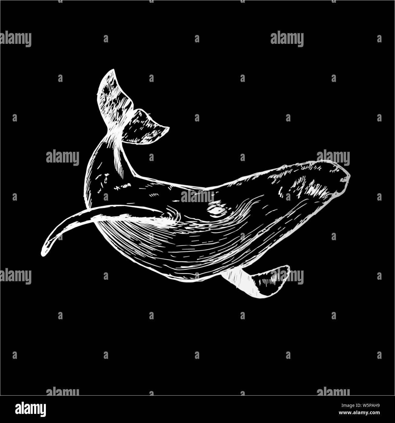 Black white illustration of a whale raising tail in the sea waves. An ...