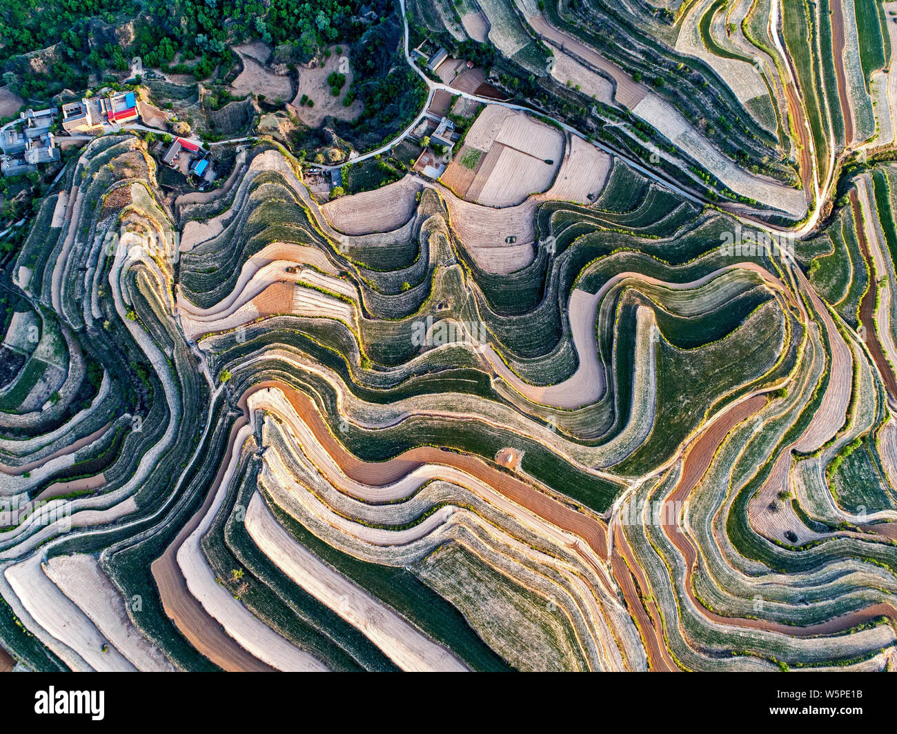Aerial view of the palette-like Hanyuan terraced fields in Wanrong ...