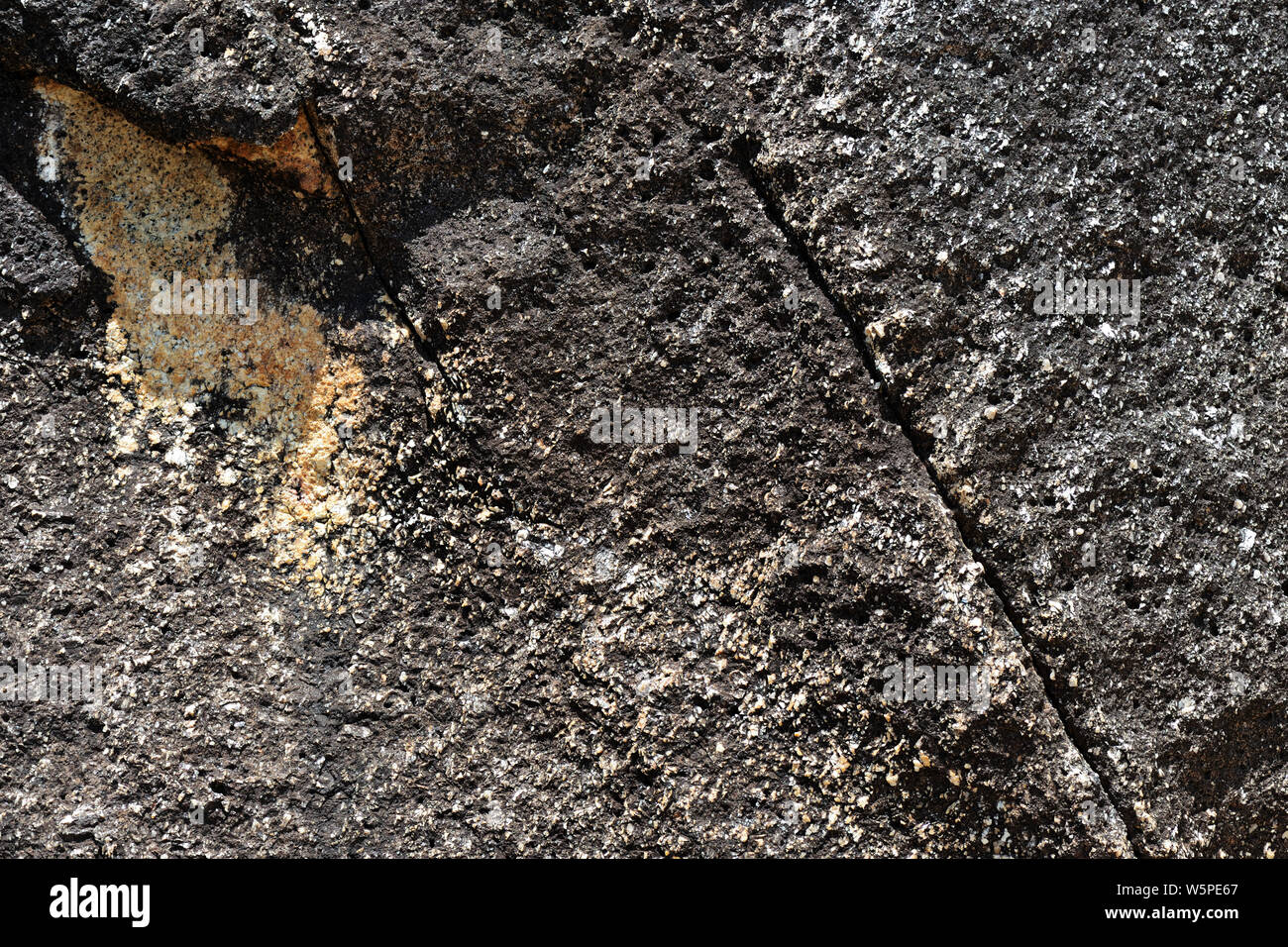 Texture of rocks on the seashore close-up. Natural stone background Stock Photo