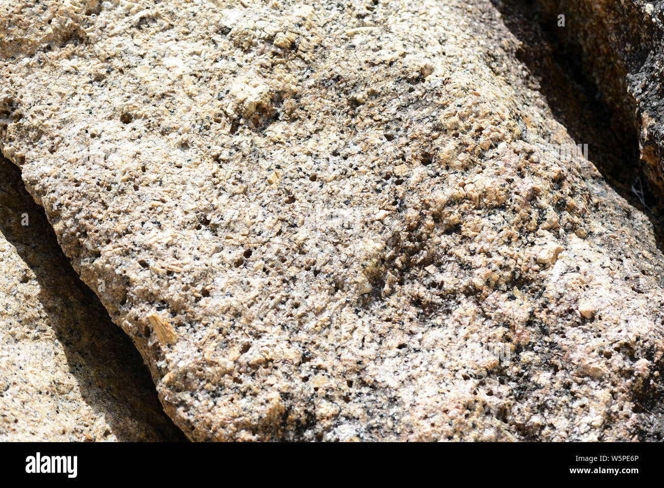 Texture of rocks on the seashore close-up. Natural stone background ...