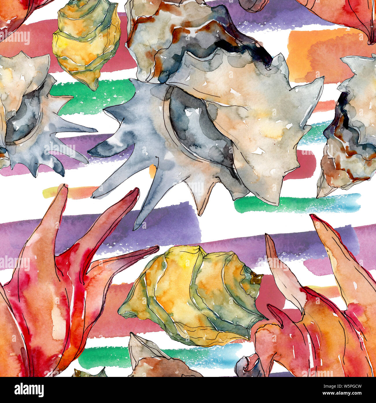 Summer beach seashell tropical elements. Watercolor illustration set ...