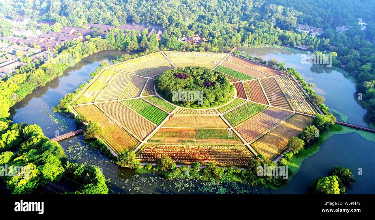 Aerial view of the eight diagrams field in Hangzhou city, east China's ...