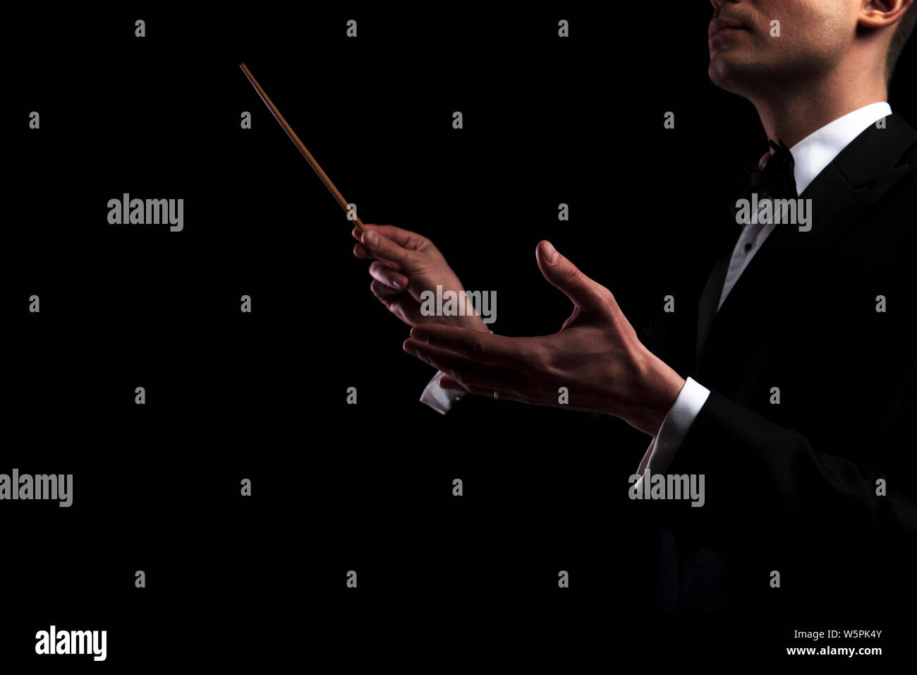 portrait of young orchestra conductor performing with a baton while standing on black background