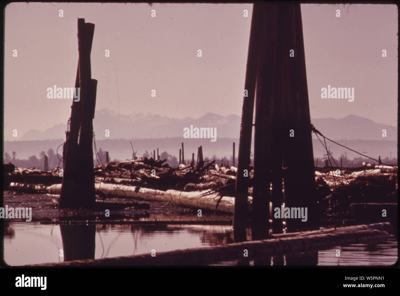 Snohomish river estuary hires stock photography and images Alamy