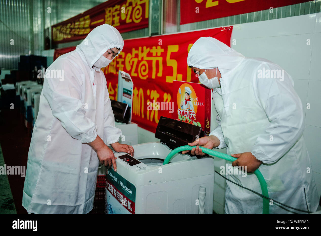 In this undated photo, Chinese workers clean lobsters through using tailored washing machines created by Chinese man Zhang Kaiwei at a factory in Hong Stock Photo