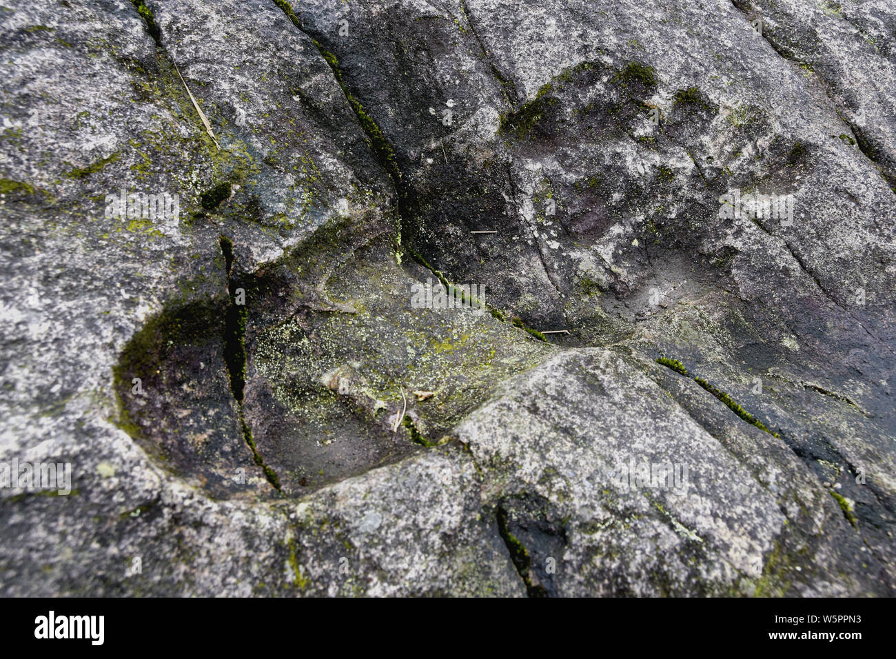 The giant fossilized human footprint is seen in a rock in Congjiang