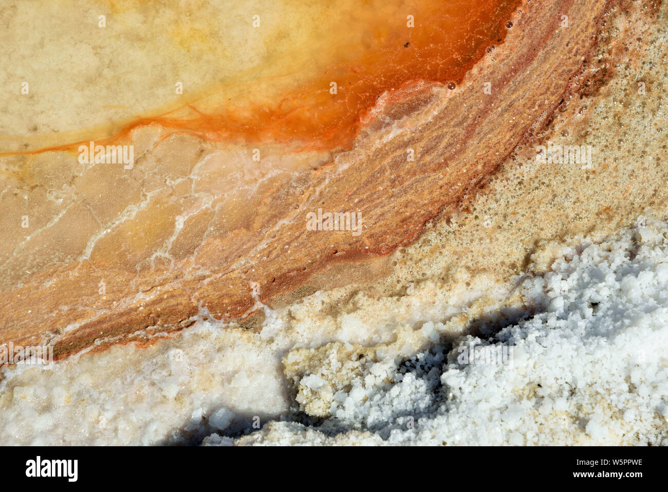 Indian saltpan hi-res stock photography and images - Alamy