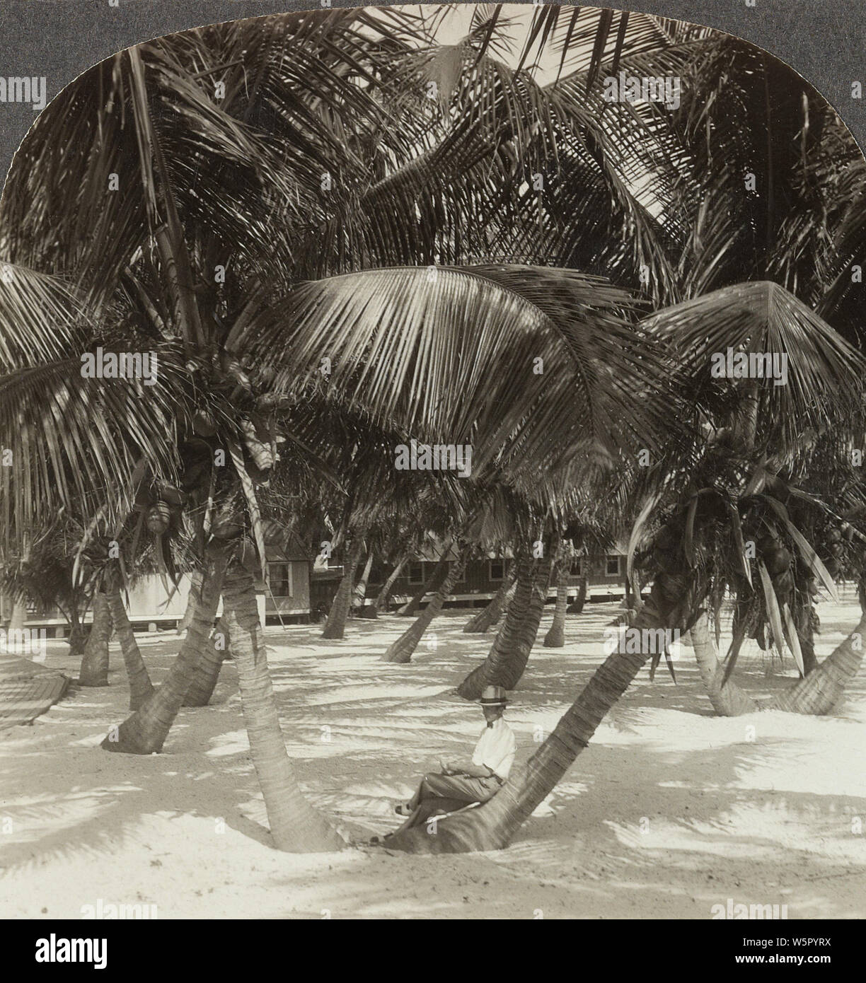 A fisherman's paradise Long Key fishing camp between mainland and Key