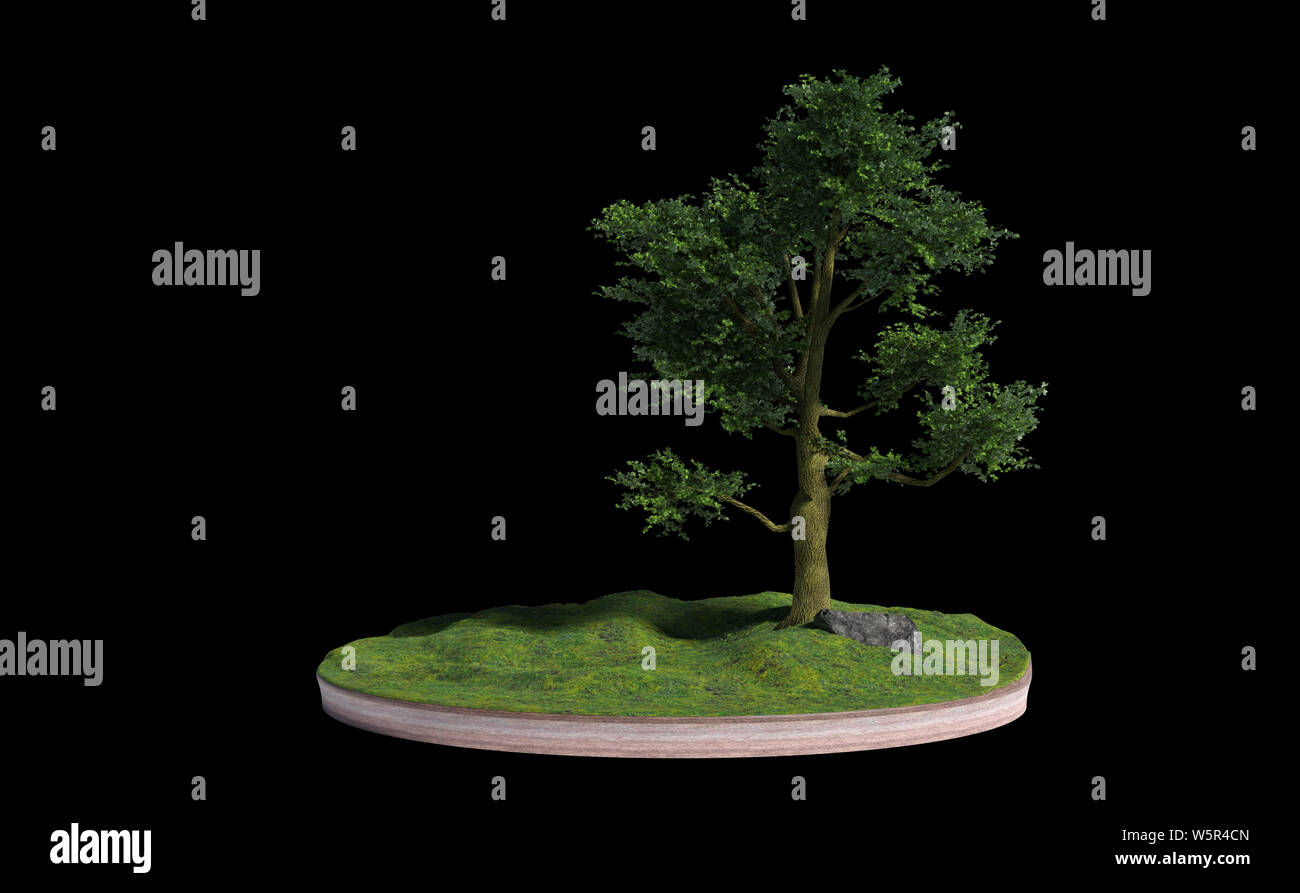 model of a cross section of ground with tree, rock and grass on the surface (3d render, isolated on black background) Stock Photo
