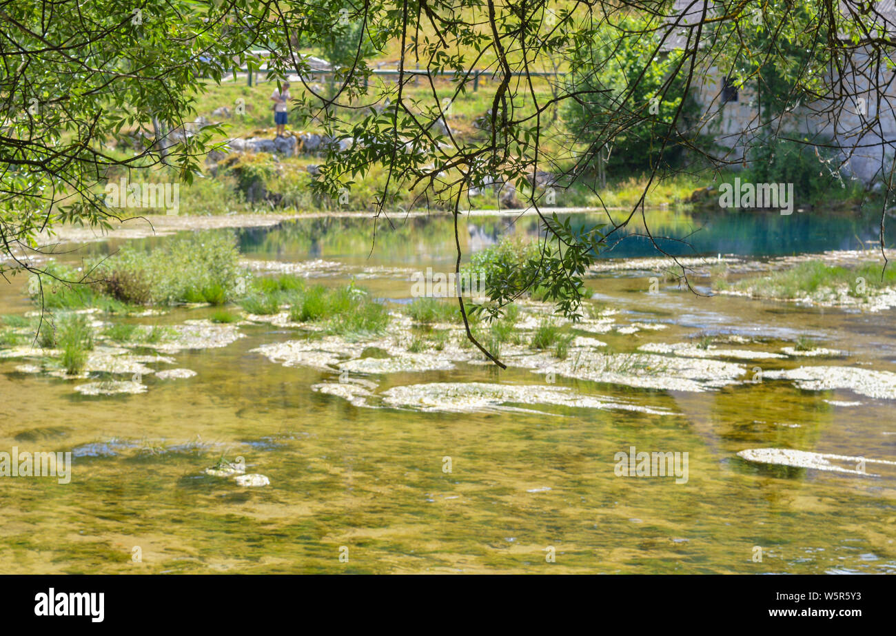 River Gacks springs, Majerovo vrilo photographed through willow brances Stock Photo