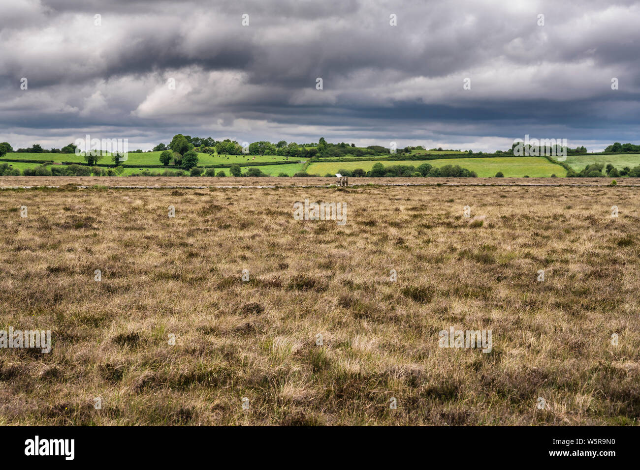 Clara Bog nature reserve, County Offaly, Ireland, is a preserved raised bog in an area where much of the original bog has undergone peat extraction Stock Photo