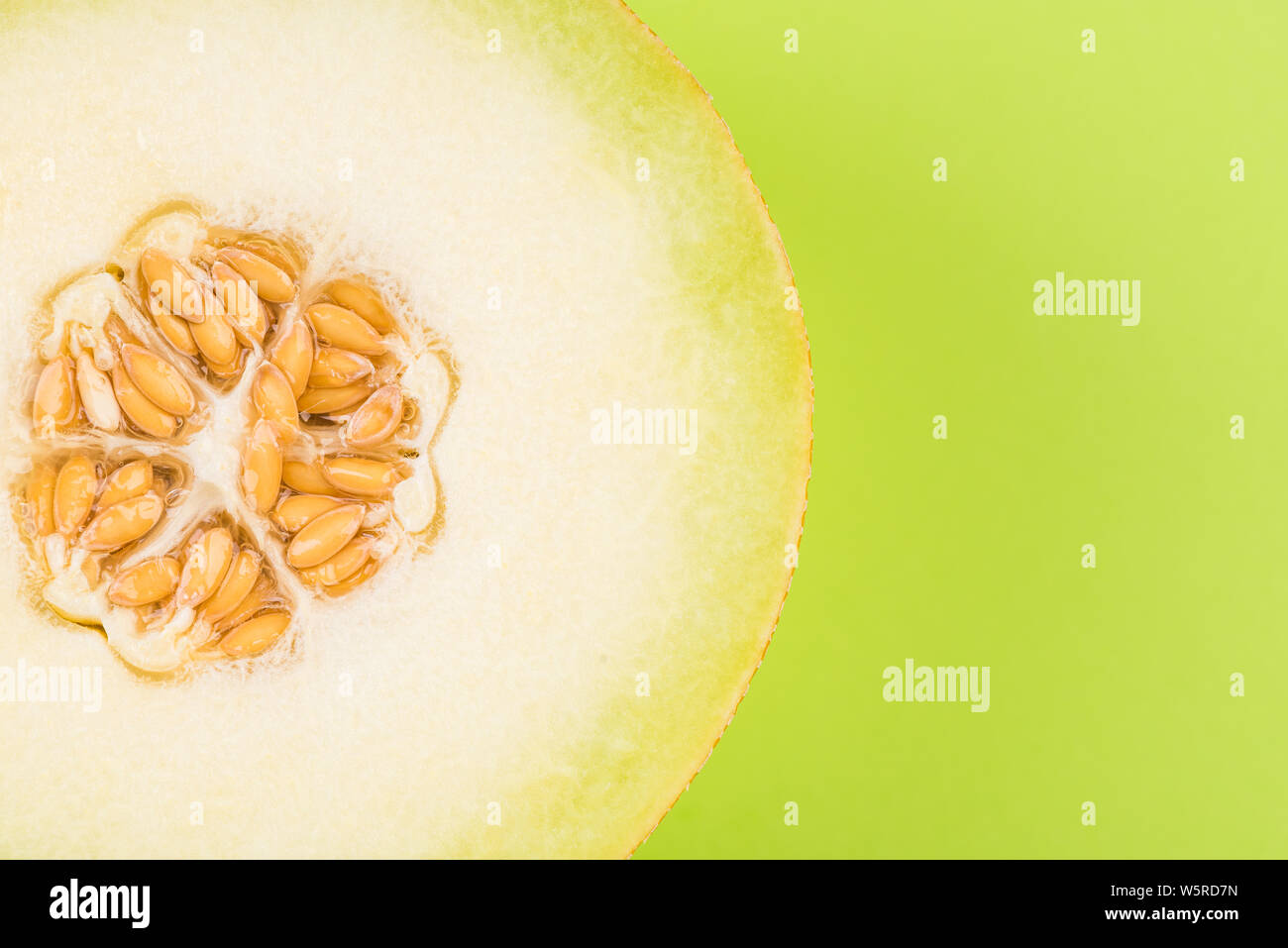 Honeydew Musk Melon Sliced in Half on Pastel Background. Stock Photo