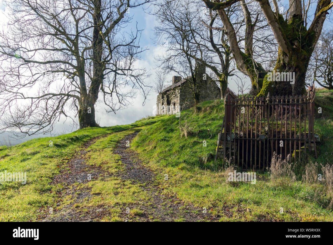 Ruined farmhouse near Llanwrtyd Wells, Powys, Wales. The former Ffosy